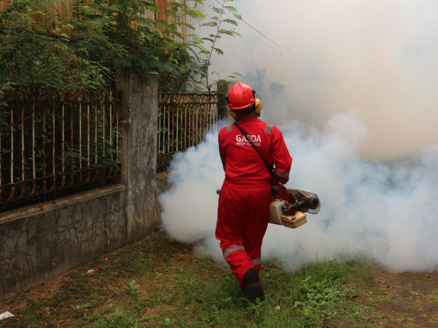 Pest Control project photo